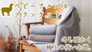 ベビーアルパカを使用した高級ブランケット～冬も暖かく極上のおうち