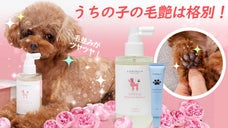 大切なペットのごわごわした毛並みをツヤツヤに〜！PAWPAW「ポポ」