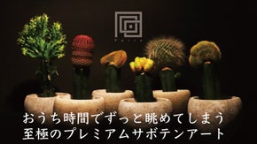 【至極のインテリア】2つの命が織りなす奇跡のプレミアムサボテンアート