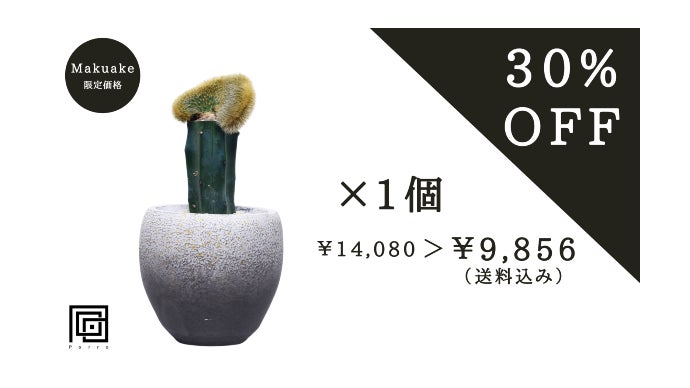 至極のインテリア】2つの命が織りなす奇跡のプレミアムサボテンアート