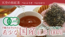 【有機JAS認定】こだわりの手揉み茶葉他~国産紅茶を召し上がれ~