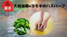 温活のご提案！奈良県からお届けする伝統のハーブ、大和当帰とヨモギのバスハーブ