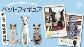 写真4枚で作れる世界にひとつだけのフィギュア！納得頂けるまで何度でも修正可能！