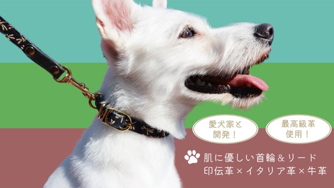 愛犬家と開発！肌に優しい首輪＆リード 最高級革「印伝革×イタリア革