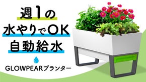 【週1の水やりで緑広がる】もう枯れさせない。世話が苦手でも育つ自動給水プランター