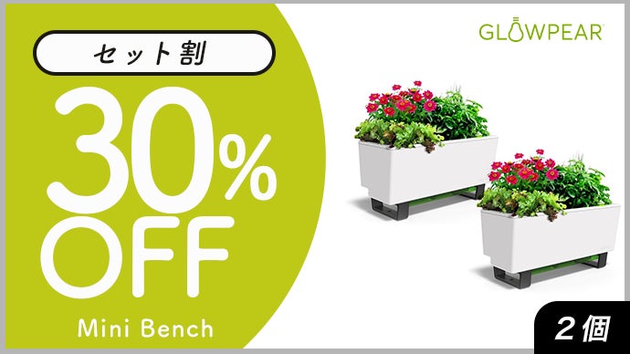 週1の水やりで緑広がる】もう枯れさせない。世話が苦手でも育つ自動