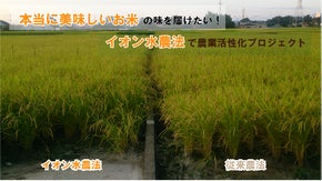 《本当に美味しいお米》の味を届けたい！「イオン水農法」で農業活性化プロジェクト