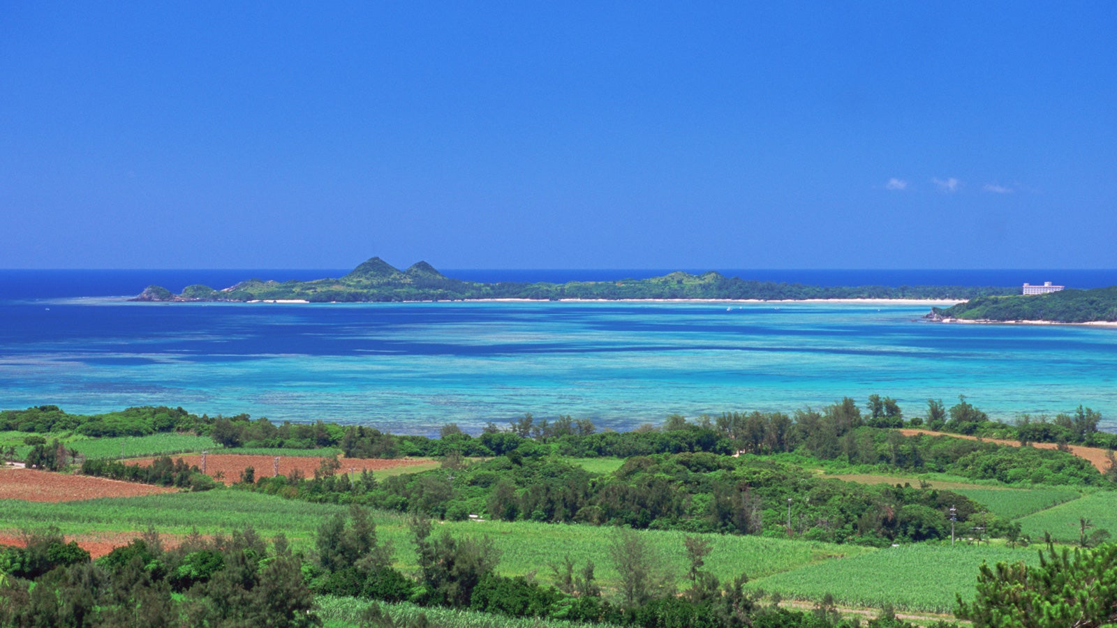 石垣島の幸せを運ぶゴールドラム 沖縄離島5つの島の黒糖を合わせた