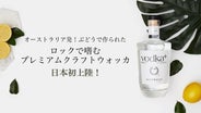 ロックで嗜む ロックで嗜む