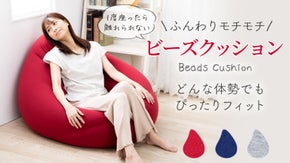 ついつい、ダラダラしてしまう魔法のビーズクッション