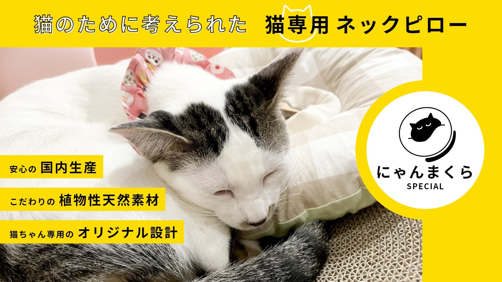 愛猫の幸せが世界を救う！？至福のあご乗せピロー