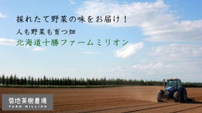 人も野菜も育つ畑《北海道十勝ファームミリオン》菊地社長こだわり黒にんにくと加工品