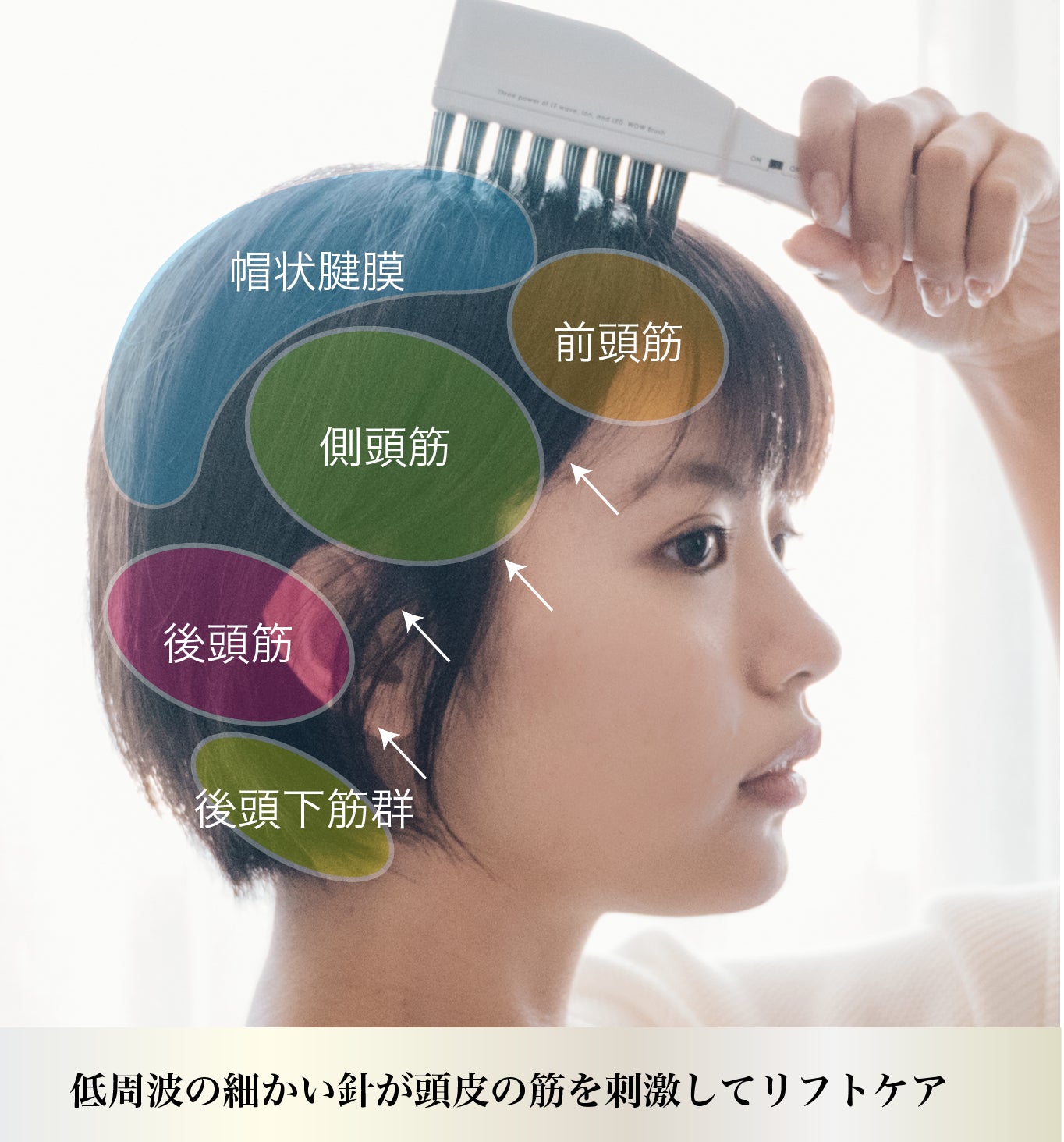 美顔　電気美容ブラシ　リフトアップ　低周波×マイナスイオン　WOW Brush パワーリフトブラシ PRO: 美容機器｜TBCオンラインショップ