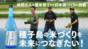 種子島の米づくりを次世代に残せ！梅ヶ枝酒造とコラボ挑戦・酒米栽培IN種子島第２弾