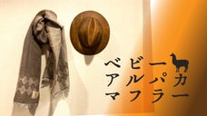 【早くも第二弾】あったかベビーアルパカマフラーで、冬のオシャレを軽やかに！