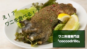 味も栄養価も実はバツグン！ワニ肉料理専門店『コッコドリッロ』が大阪にオープン！