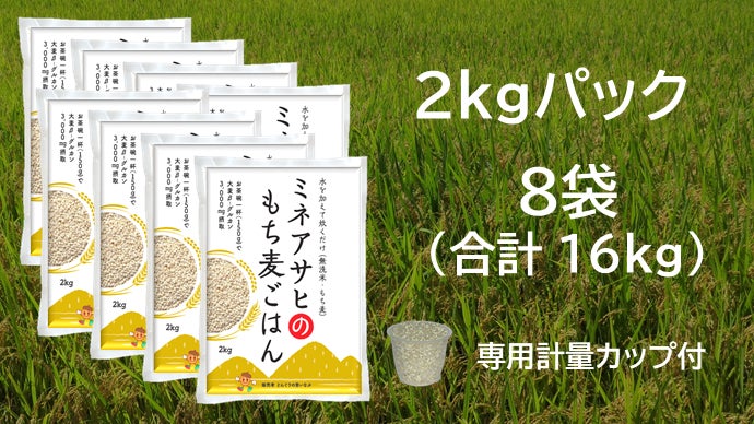 お買い得】マイバチまとめ売り 米ヒバ&黒朴 南洋材 マホガニー さび