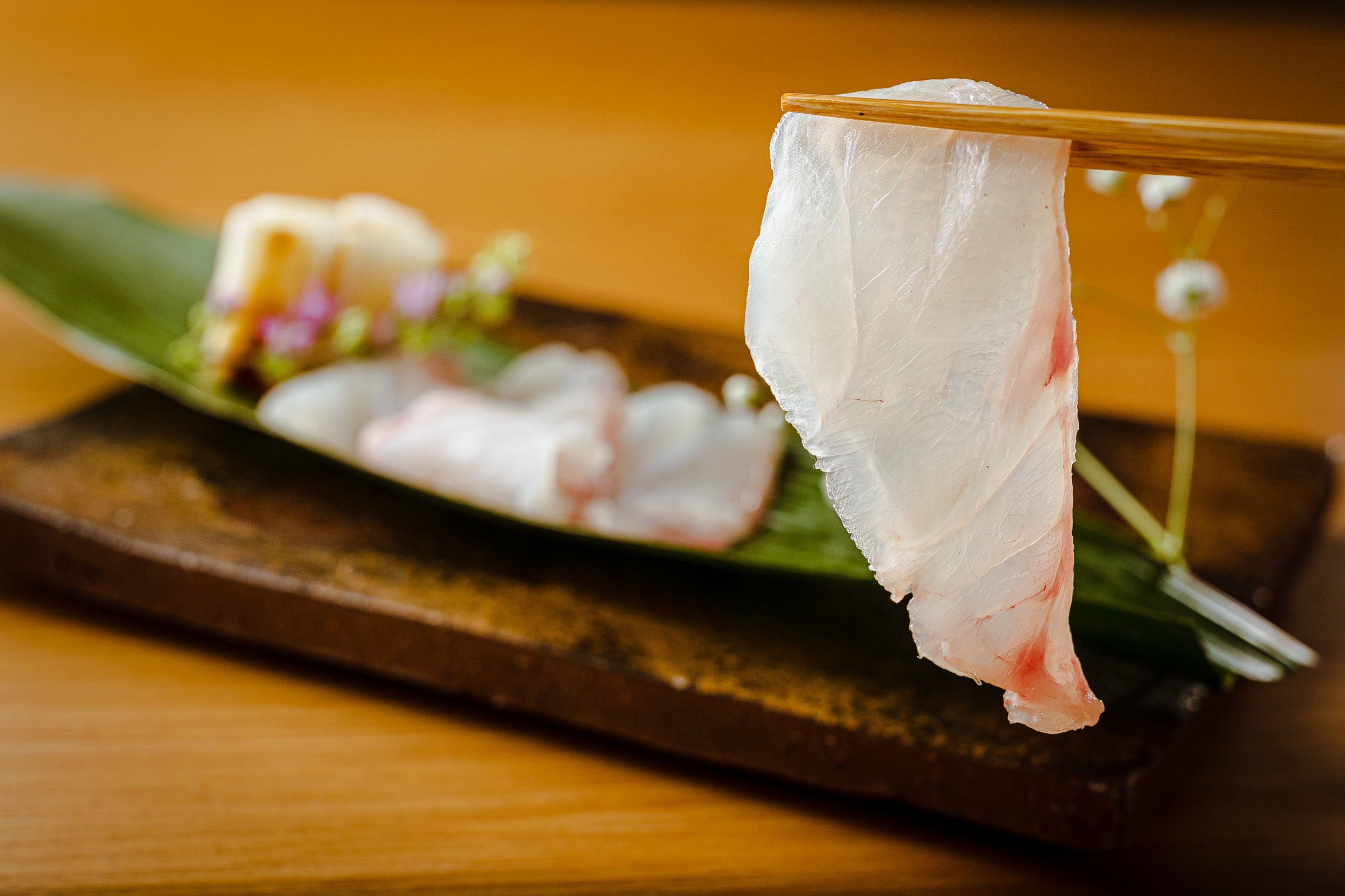 冬限定】幻の高級魚クエを食べ尽くす。旨味溢れる天然クエ尽くしを