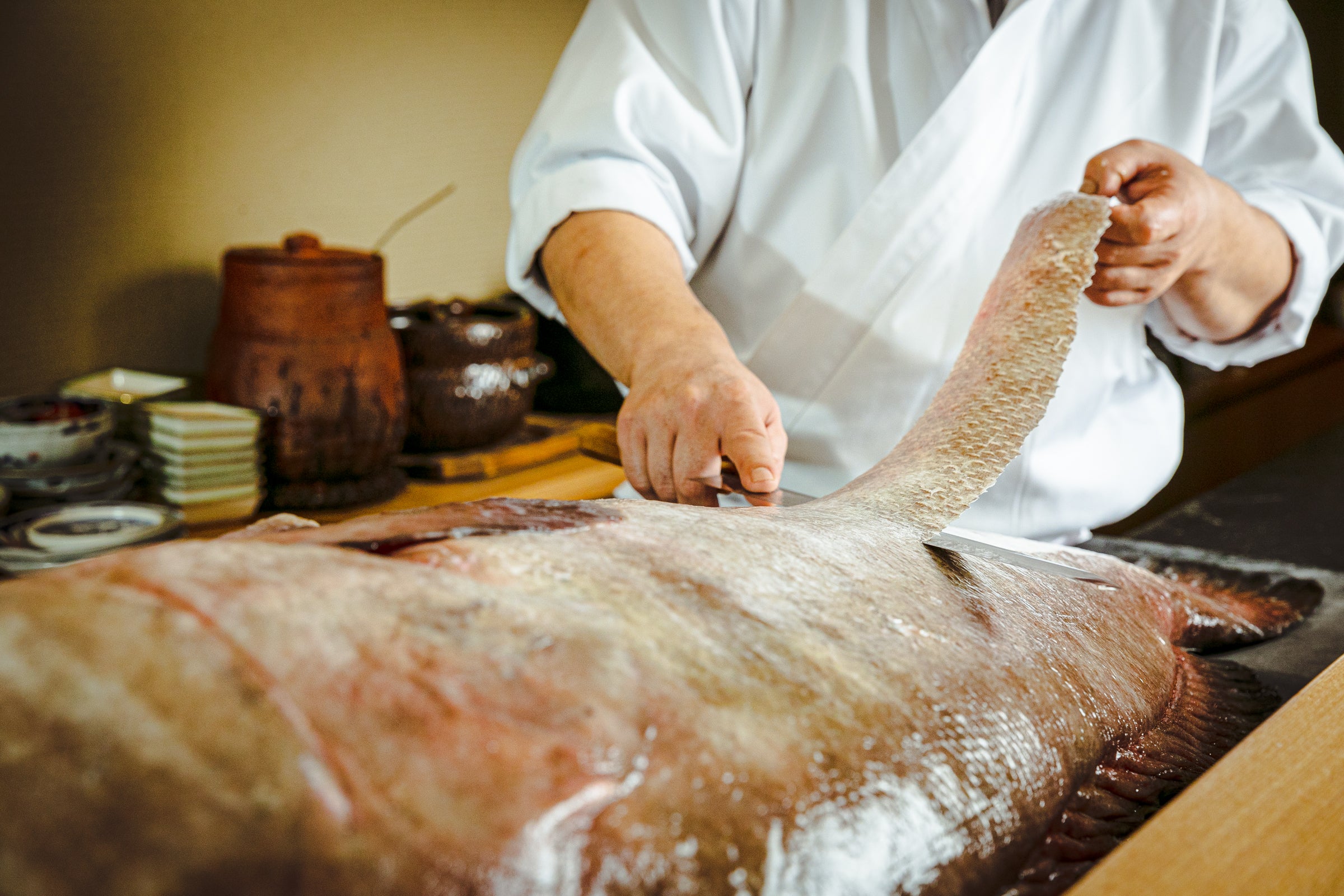 冬限定】幻の高級魚クエを食べ尽くす。旨味溢れる天然クエ尽くし