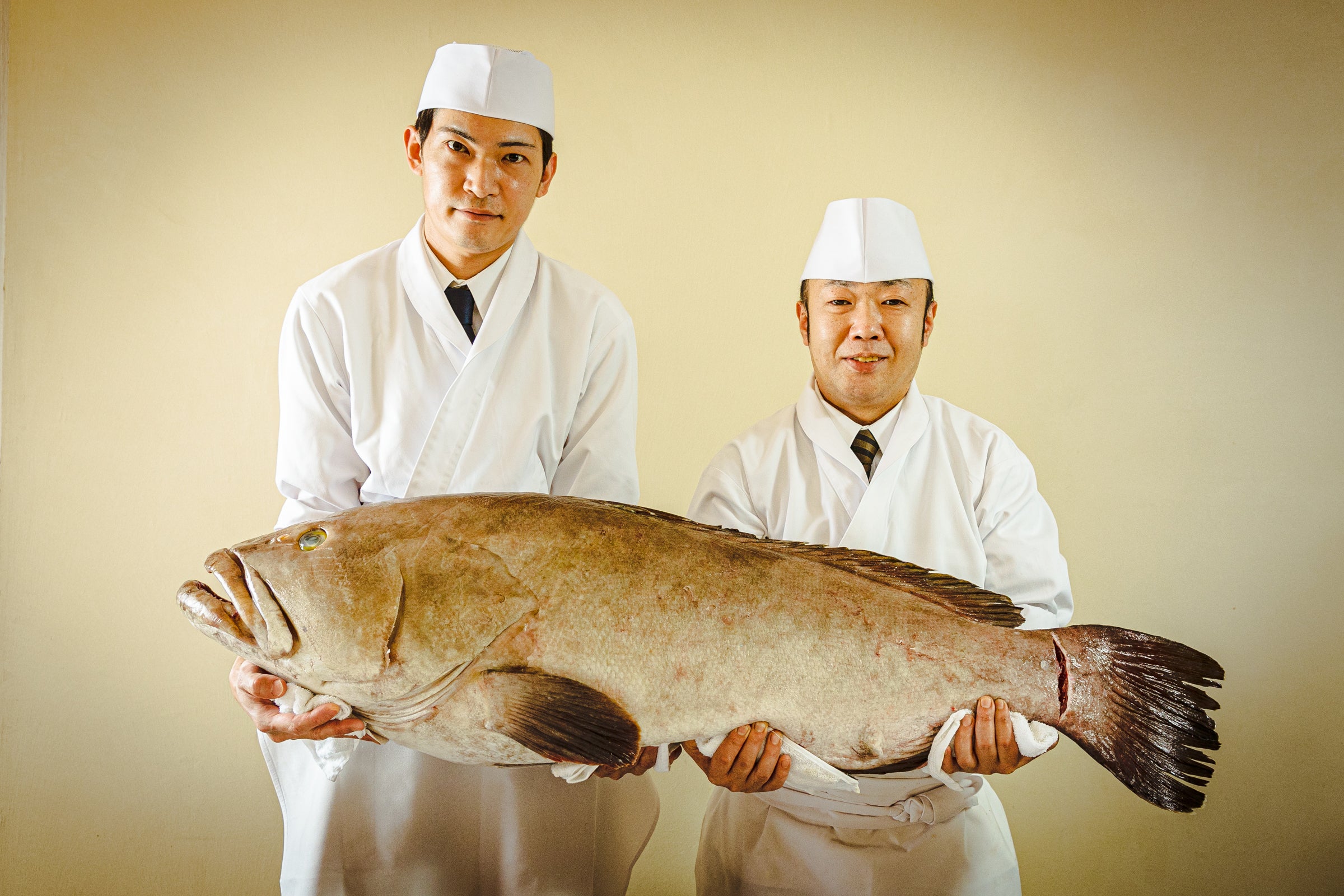 冬限定】幻の高級魚クエを食べ尽くす。旨味溢れる天然クエ尽くしを