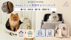 運べる・休める・遊べる・変身する！ペット用４WAYキャリーバック