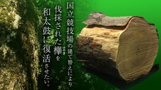 国立競技場の建て替えにより伐採された樹齢150年の欅を和太鼓に復活させたい！