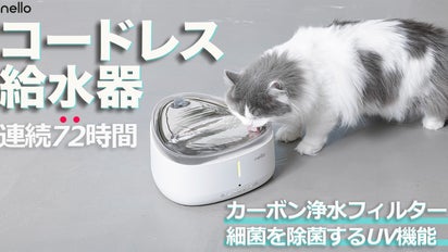 nello第2弾、充電式コードレス給水器、1.5L、ステンレス、3層