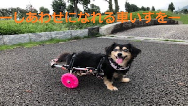 しあわせになる車イス（ペット用）