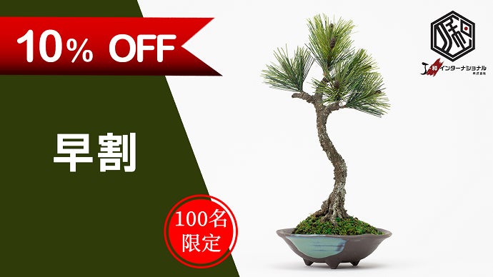 心が洗われる和空間】日本の伝統工芸アートクラフト盆栽文人スタイル