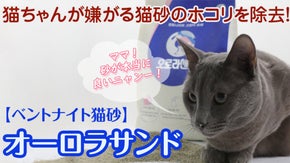ホコリの少ない猫砂「オーロラサンド」 埃が舞わない！臭わない！しっかり固まる！