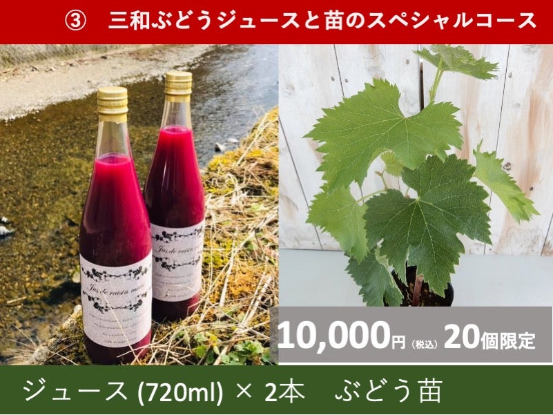 樹上完熟で糖度20度。三和ぶどうジュース、京都から極上の味わいを