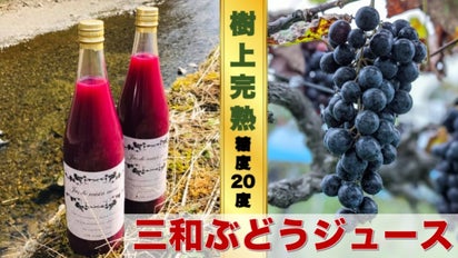 main_22979.png?version=