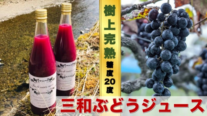 樹上完熟で糖度20度。三和ぶどうジュース、京都から極上の味わいを