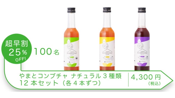 コンブチャ 12本 （コンブチャクレンズ 720ml 12本｜ダイエット食品） 