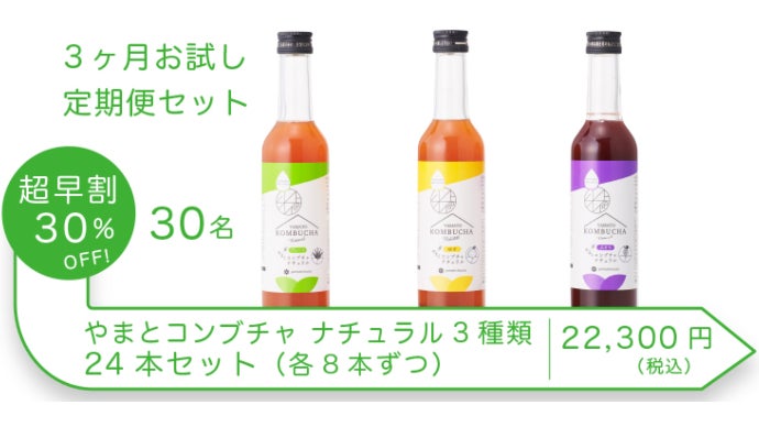 砂糖を使わず有機アガベと有機ルイボスだけで発酵させた”本物の