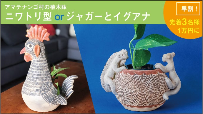メキシコアート民芸品 焼きもの職人の共同工房づくり応援！伝統