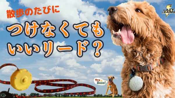 【愛犬とのお散歩に】コンパクトで軽いリード！負担にならない「LazyLeash」