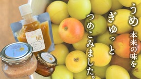 梅の本当の味、 !   知ってますか？ 〜塩分０%梅成分100%の梅の魔法体験〜