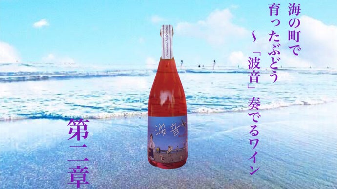 九十九里町から海を感じるワインに挑戦中！海を感じる爽やかな発泡ロゼ