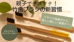 ガイドブック付】親子で学ぶ楽しいエコ！ 歯にも環境にも優しい竹