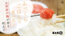 第二弾｜めんべいの【福太郎】が「ご飯に合う」を追求。太宰府の梅香る「うめんたい」