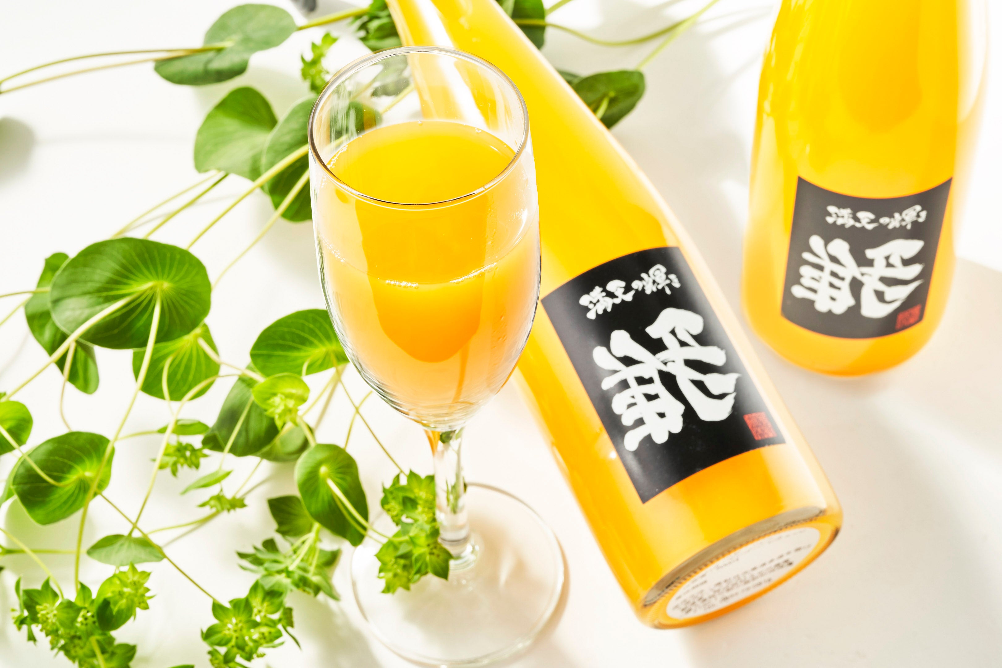 山梨の新特産物「八ヶ岳完熟マンゴー」こだわりの100%マンゴージュース