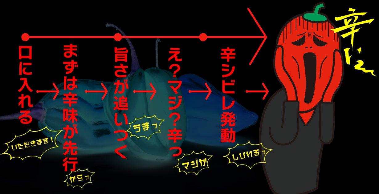 激辛マニアからの挑戦！ハバネロ練り込み蕎麦が旨辛い【激辛ハバネロ