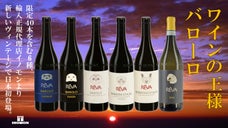 ワインの王様"バローロ"イタリアのオーガニックワイナリーで醸造されたワイン6種。