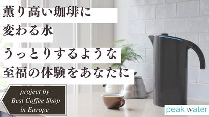 Peak Water　スターターパック　フィルター2個　コーヒー専用　浄水器 Peak Water スターターパック フィルター2個 コーヒー専用 浄水