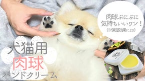 天然素材のみを使用した肉球ハンドクリームで猫ちゃん・ワンちゃんの乾燥対策&ケア！