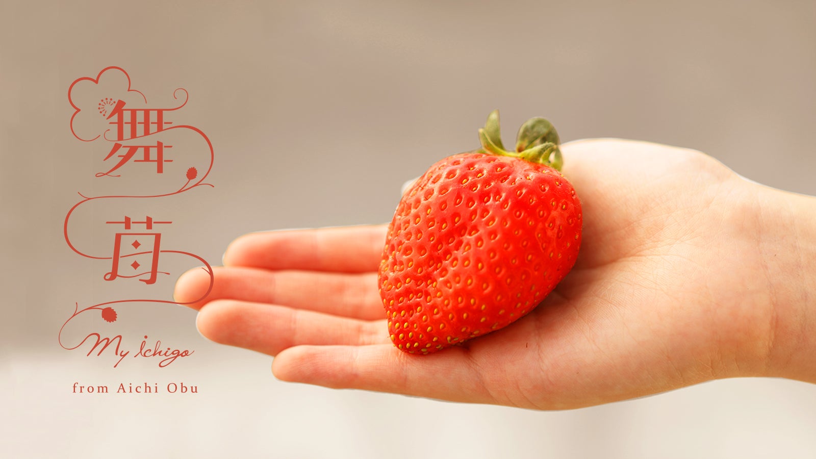 期間限定‼️超特大‼️ 新鮮朝採りいちご 特大 新鮮朝採りいちご
