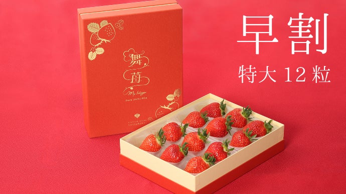 数量限定】真っ赤に完熟して直送！一粒でも満足度大の大粒