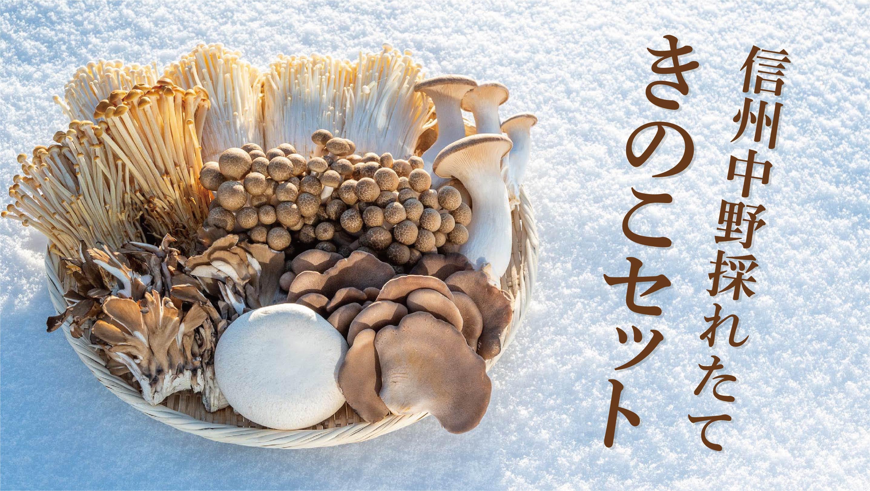 生産者が本気で開発！えのきをふんだんに使った新ジャンルの代替肉