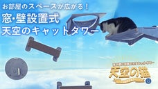天空の猫！窓・壁に設置できる吸盤式キャットタワー　ステップ＆ハンモック